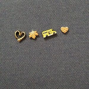 Origami Owl Locket Charms